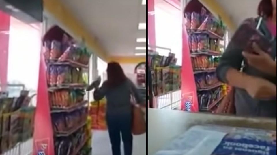 Ante la negativa la empleada la mujer terminó robándose unas papas del mostrador para cobrarse los 30 pesos