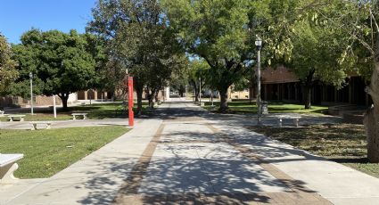 Enseñará Colegio de Laredo oficios a los desempleados