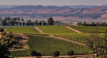 Esta ciudad de Estados Unidos paga a los turistas para que la visiten