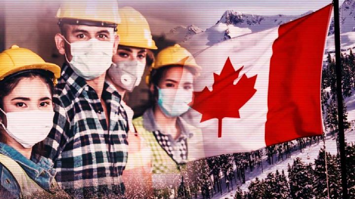 Trabaja en Canadá por hasta 20 mil pesos; no necesitas la primaria ni saber inglés