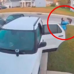 Hombre detiene con sus manos a lince rojo que atacaba a su esposa (VIDEO)