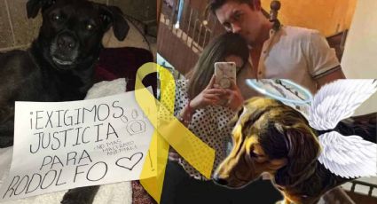 Exigen justicia para "Rodolfo Corazón" un perrito asesinado a machetazos