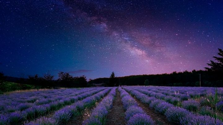 Fenómenos astronómicos de enero 2022 ¡No te lo pierdas!