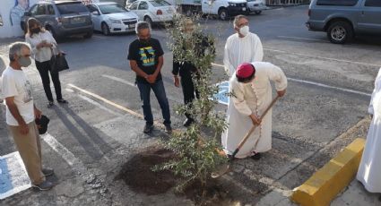 Diócesis colabora con la Tierra; planta árbol