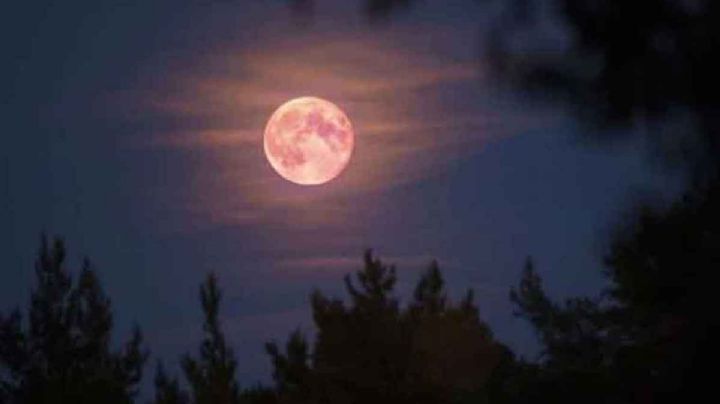 Superluna de octubre esta noche; se verá más brillante y más grande