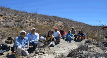 DINOSAURIO EN COAHUILA; descubren una nueva especie