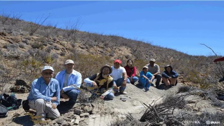 DINOSAURIO EN COAHUILA; descubren una nueva especie