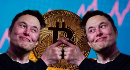 ¿Clonan a Elon Musk? Le roban más de dos millones de dólares en criptomonedas