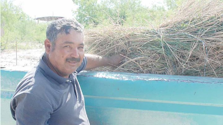 Dejan la agricultura por sequía en Anáhuac