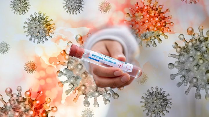 Ya hay 12 variantes de covid-19 en el mundo, ¿Cuáles están en México y cuáles son más peligrosas?