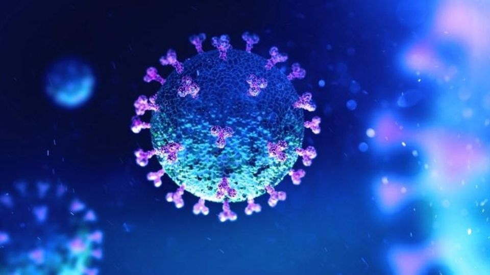 Hasta el momento se conocen 7 variantes de coronavirus, entre ellas el COVID-19 y el resfriado común.