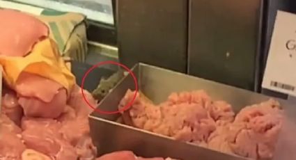 VIDEO: Ratón es captado comiendo corte fino de carne en vitrina