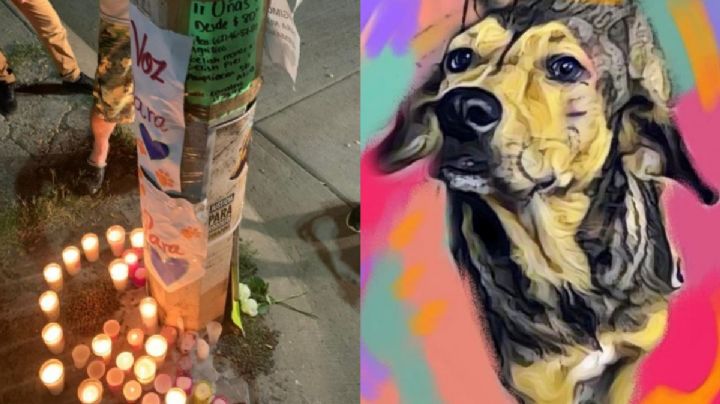 Rodolfo Corazón: Rechazan libertad condicional al presunto asesino del perrito