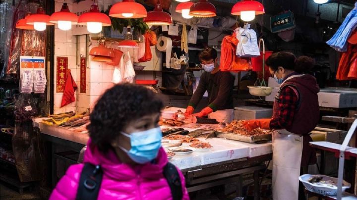 Otros animales pudieron haber sido la causa de COVID-19 en los mercados de Wuhan; revela estudio