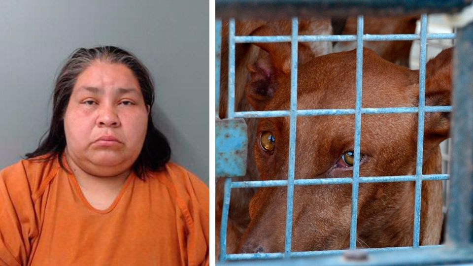 Cecilia Casso, fue arrestada por crueldad animal con sus seis perros, uno murió ahorcado con cadena metálica, el otro estaba encerrado en una jaula, inmóvil