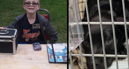 Niño vende su colección de cartas de Pokémon para ayudar a su perrito; compañía le da un regalo