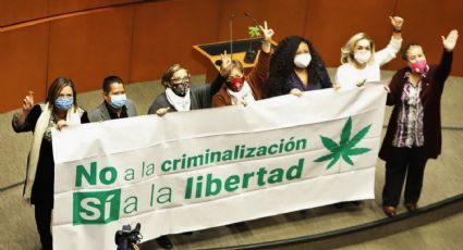 ¿Marihuana legal en México? Dan luz verde para uso recreativo