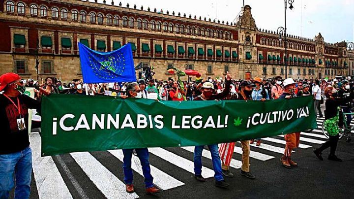 Da la SCJN luz verde al consumo recreativo de la marihuana