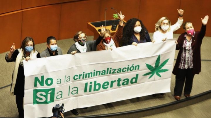 ¿Marihuana legal en México? Dan luz verde para uso recreativo