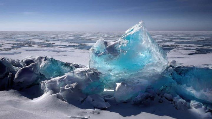 Hallan animal que sobrevivió congelado por más de 24 mil años