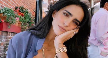 VIDEO: Bárbara de Regil responde a críticas por recibir dinero del partido Verde