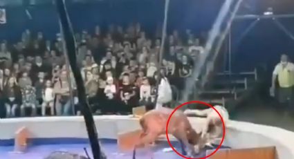 VIDEO: Ciervo ataca a mujer domadora en circo de Rusia; causa polémica en las redes sociales