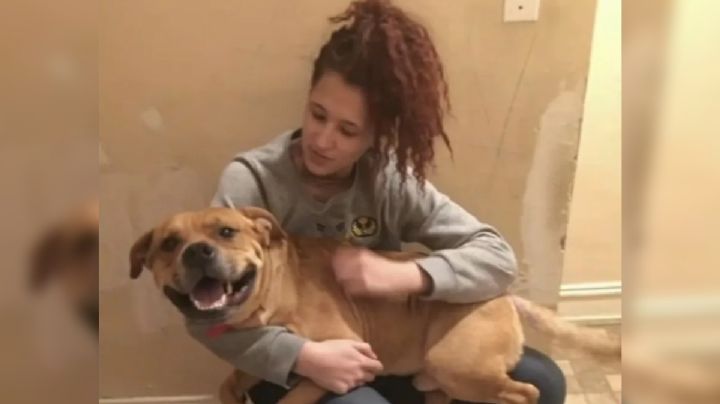 Estados Unidos: Perrito despues de 2 años perdido se reencuentra con su dueña