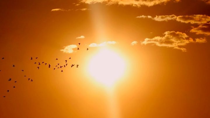 ¿Qué es la canícula? Estos Estados serán los más afectados