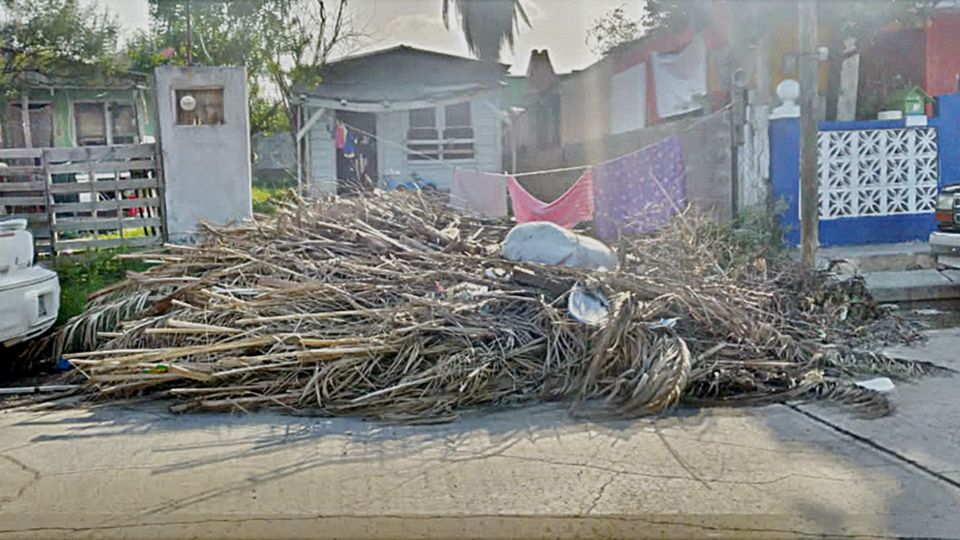 Ni el Municipio ni la empresa Setasa han limpiado las ramas y troncos que cayeron desde mayo