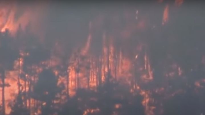 Incendio en California considerado el más grande del año consume más de 36 mil hectáreas