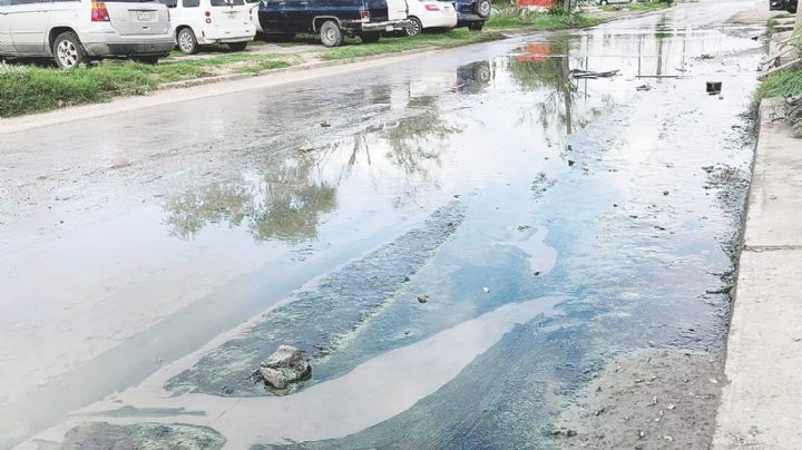 Nuevo Laredo: Vecinos de colonia Bertha del Avellano, atrapados entre aguas fétidas