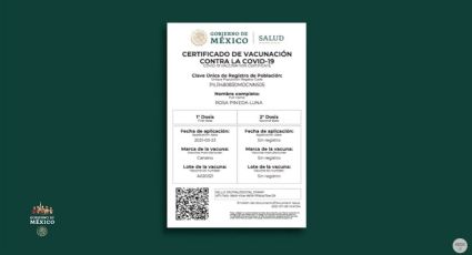 Mercado negro en Santo Domingo: venden certificado de vacunación covid falso en $600