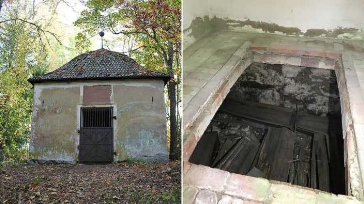 ¡INCREÍBLE! Mujer dio a luz después de morir, caso inusual de "expulsión postmortem de un feto"