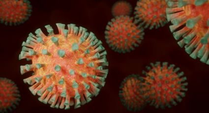 ¿Por qué no me enfermé de Covid-19? Confirman inmunidad innata al coronavirus