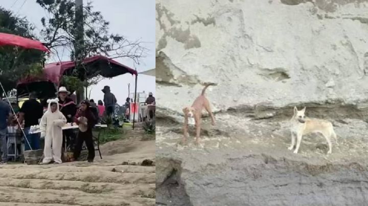 VIDEO: Niños se disfrazan de Spay y Spike, los perritos del socavón de Puebla