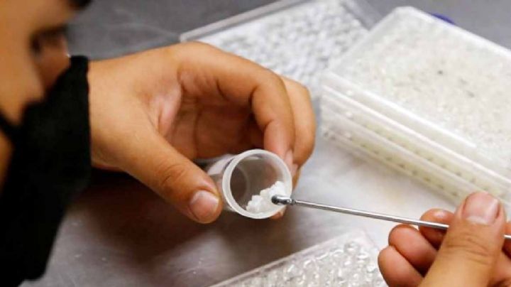 Científicos mexicanos convierten vitamina A en nanopartículas como un tratamiento único en el mundo