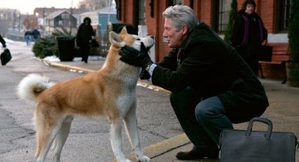 Día Mundial del perro: Mejores películas de perros para ver hoy