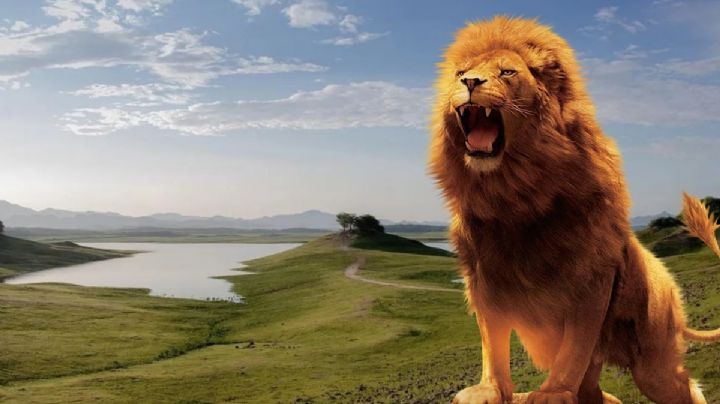 ¿Narnia en México? La nueva sensación turística de Culiacán