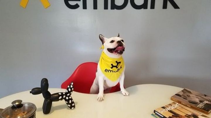 ¡Esperanza de vida! Con esta nueva tecnología tu perro puede vivir 3 años más