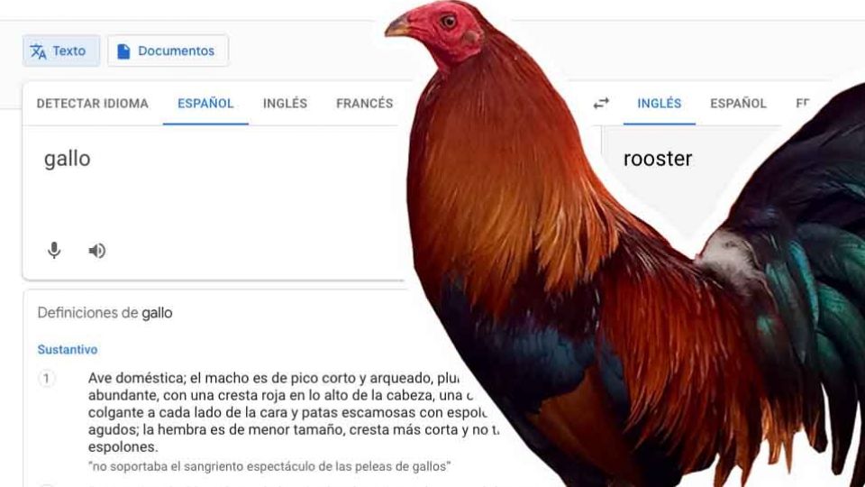 se ha viralizado en el traductor Google