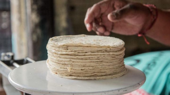 Baja la venta de tortillas de maíz