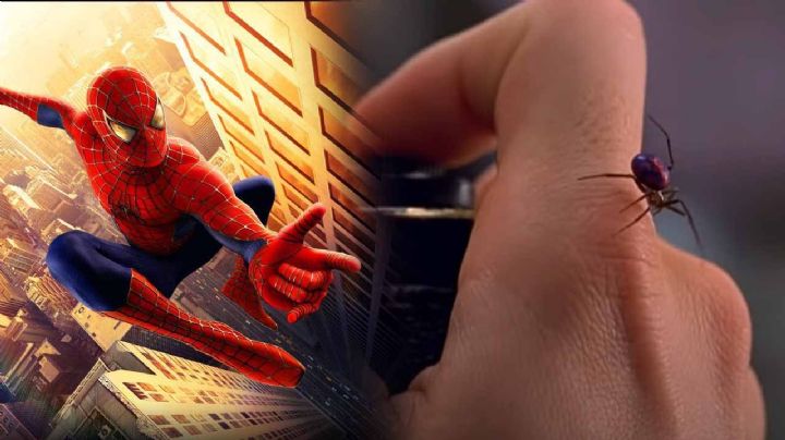 Niños se dejan picar por araña viuda negra para convertirse en "Spider-Man"