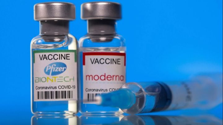 Vacuna Moderna o vacuna Pfizer: Te decimos cuál genera más anticuerpos