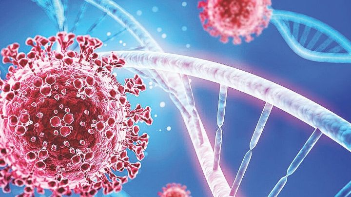 Variante Alfa del Covid-19 es detectada en Laredo, Texas