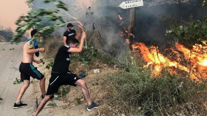 El mundo en llamas: Incendios en Argelia dejan 65 muertos