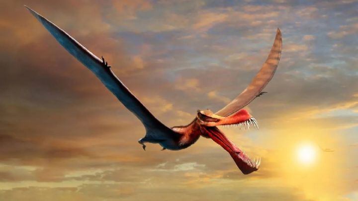 ¿Un dragón de la vida real? Sí, existió hace 110 millones de años