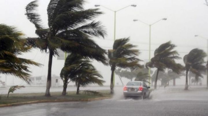 ¿Qué hacer en caso de huracán? Estás recomendaciones pueden salvaguardar tu vida
