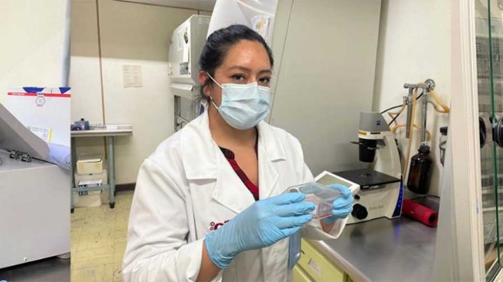¡ORGULLO MEXICANO! Científica del IPN desarrolla tratamiento covid 90% eficaz