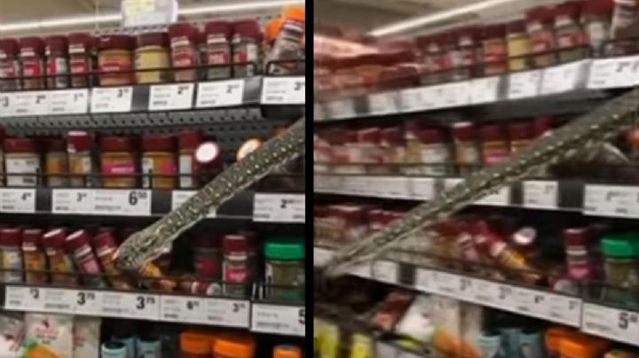 VIDEO: Encuentran serpiente de 3 metros en estante de supermercado
