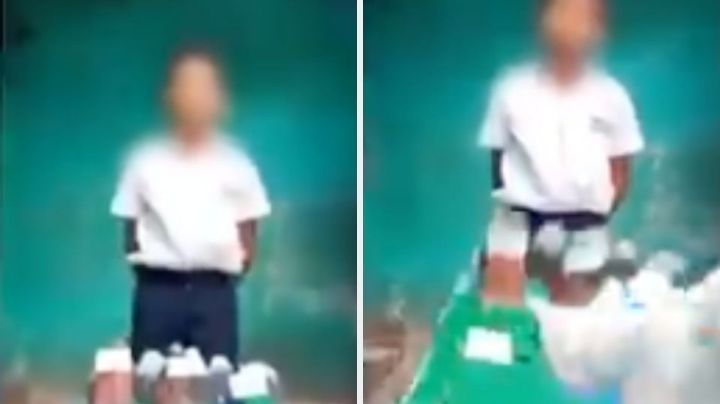 Video: ¡Gato travieso! Le destruye su maqueta en plena exposición